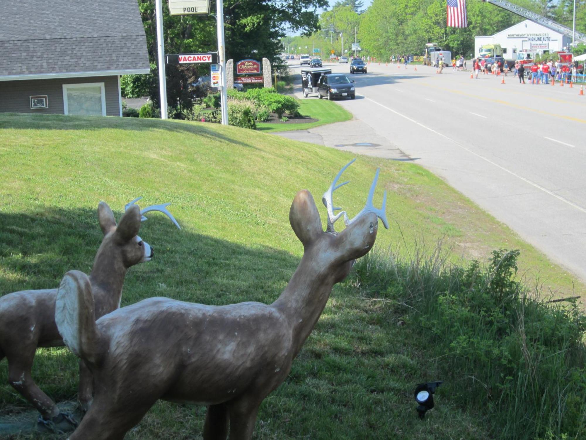 Northeaster Motel Kittery Exterior foto
